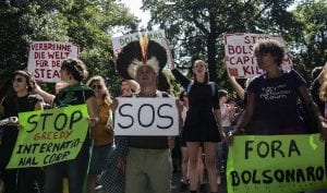 Brazil, rainforest, forest fire, wildfire, Bolsonaro, The Federal, English news website